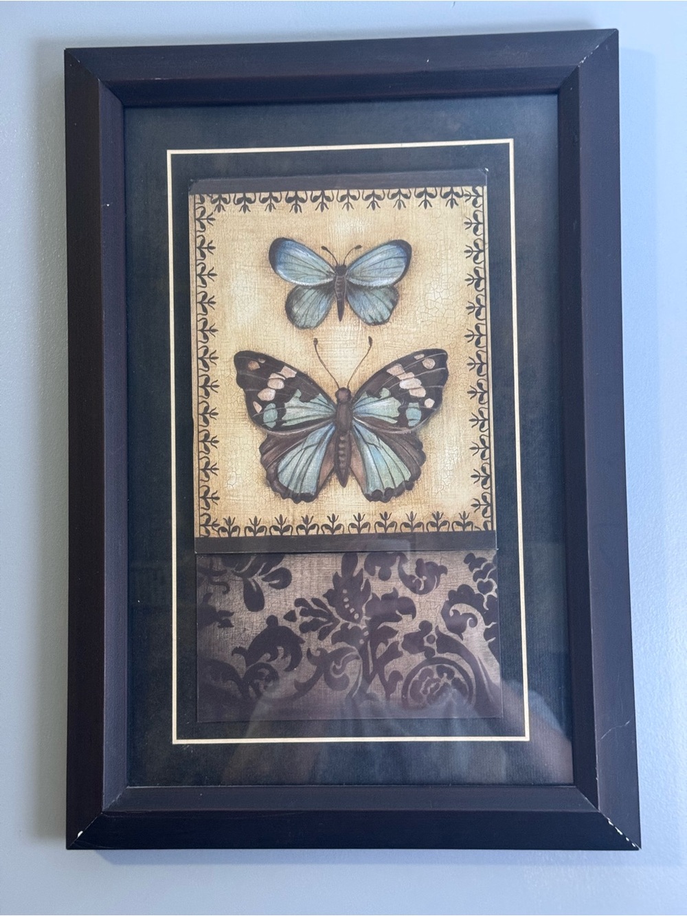 Framed Blue Butterfly Wall Art - Home Wall Decor